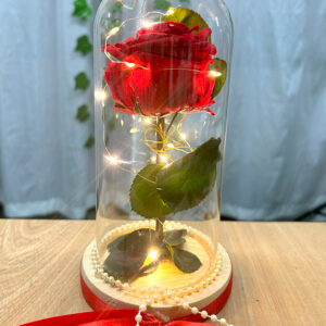 RO-05 Rosa Eterna con Luces 21cm