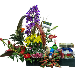 NV-05 Ancheta Navideña con Orquídeas
