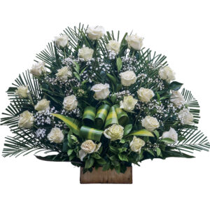 FU-18 Abanico Condolencias