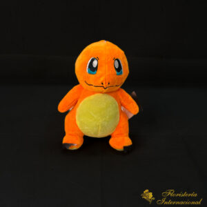 Charmander 24cm